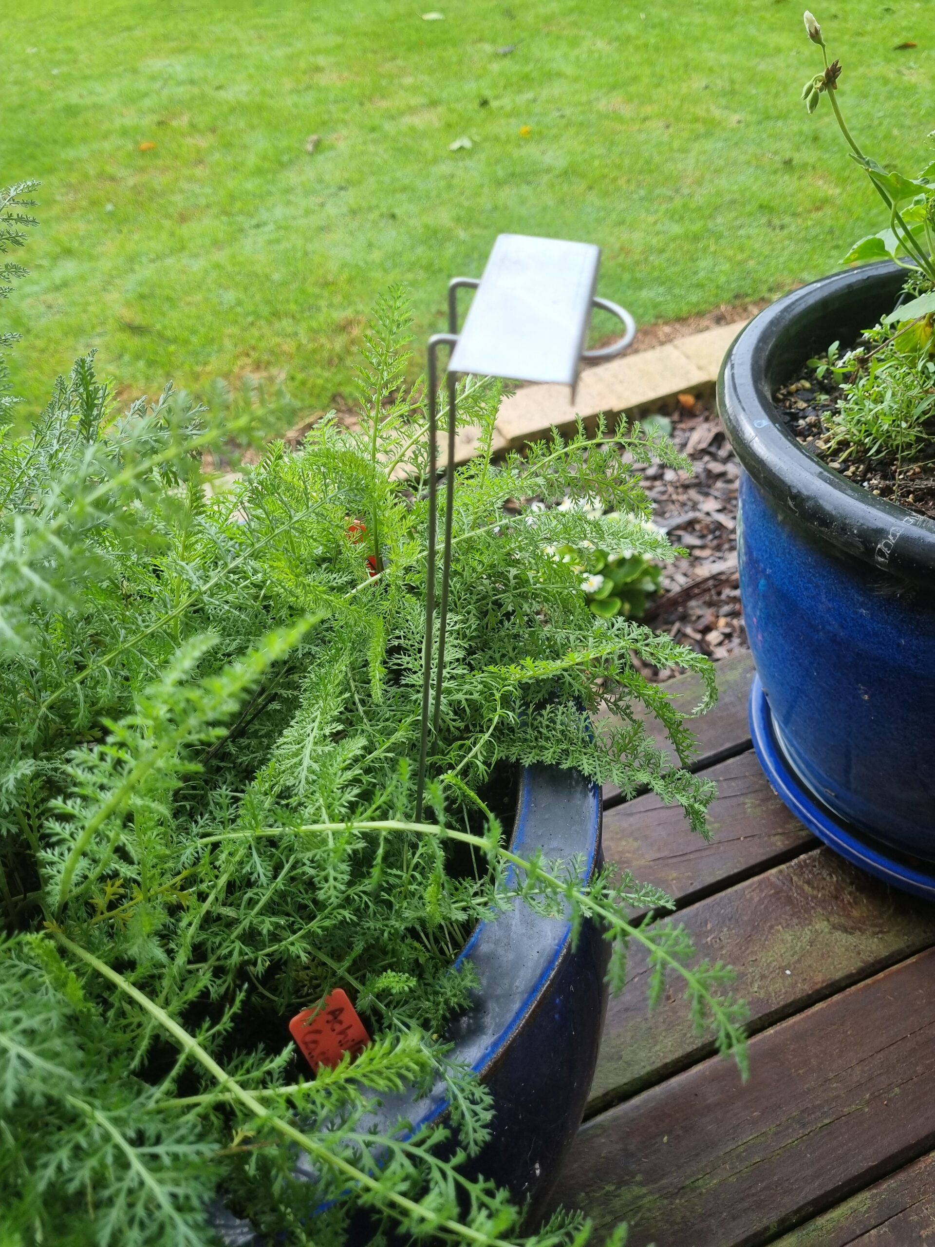 Stainless Steel labels - 5pack - Image 3