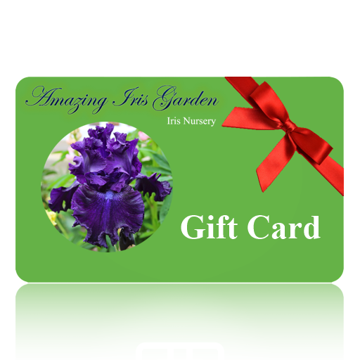 Amazing Iris Garden Gift Card